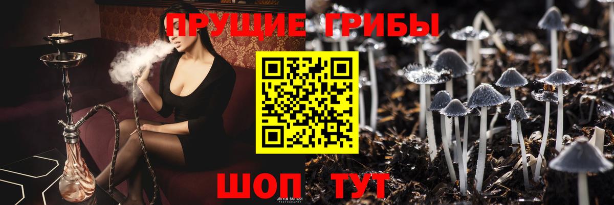 Галлюциногенные грибы ЛСД  Вход с VPN  Люберцы  Псилоцибиновые грибы Psilocybe 