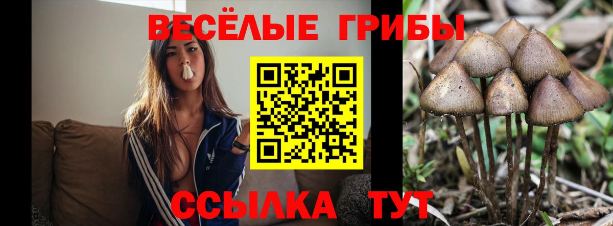 Галлюциногенные грибы MAGIC MUSHROOMS Люберцы